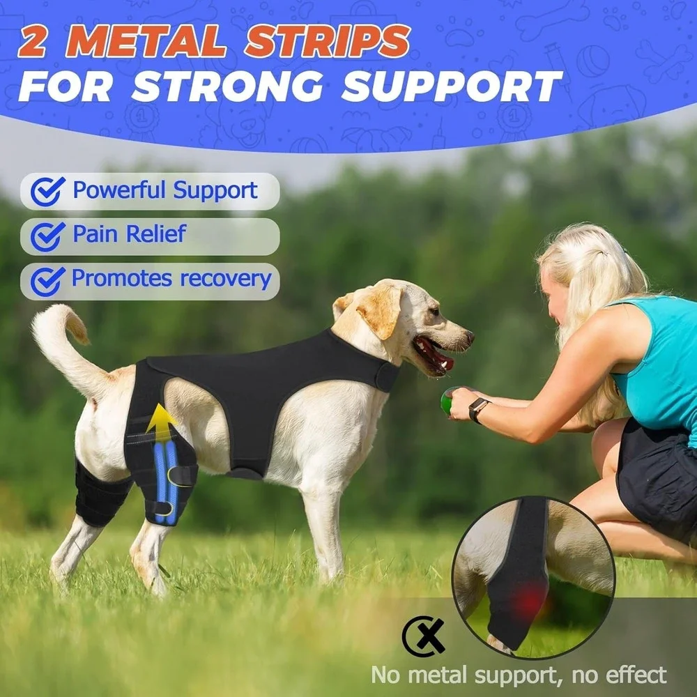 XXL‎ Dog Knee Brace – Hind Leg ACL Support for Patella, Hip Dysplasia, Injuries